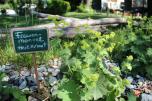 es folgen Bilder vom Start in den Sommer 2012
