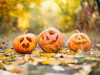 Fischingar AbendZauber "Kürbis & Herbst"