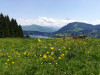 SENIORENAUSFLUG zum Arche Hof Birk 