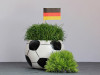 Public Viewing Fußball WM 2026